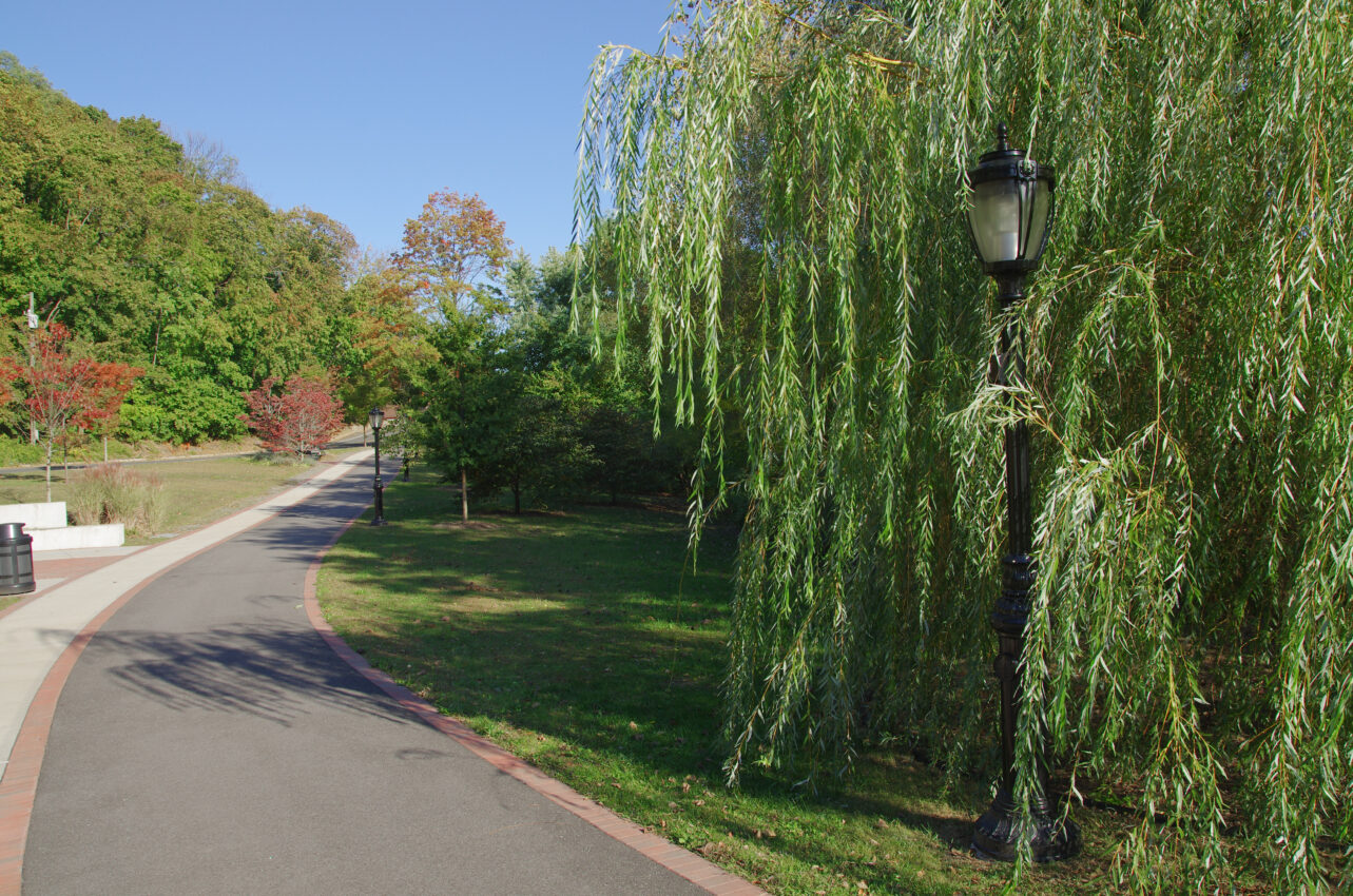 Road near The Beacon at Garvies Point